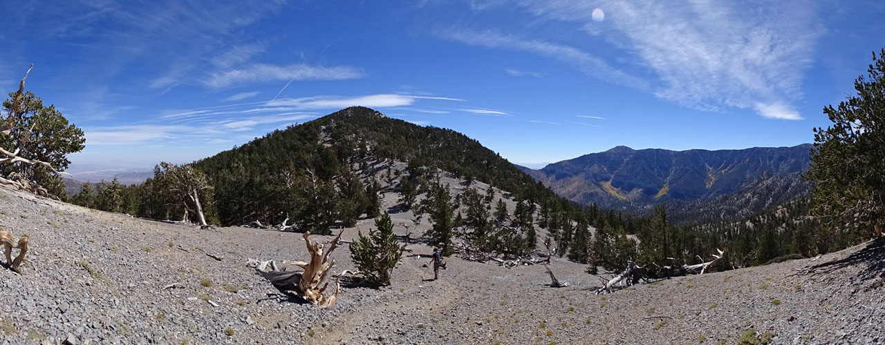 View along trail to Fletcher Peak